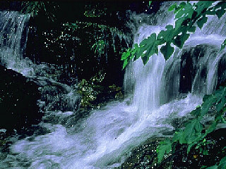 p10169.jpg