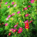 star_security002001.jpg
