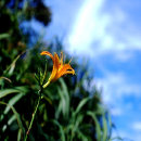 star_security002002.jpg